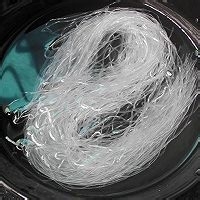 怎么做粉丝虾米芹菜汤