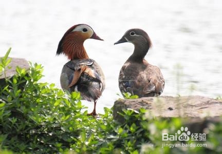 这样搭讪容易拿到女生电话号码