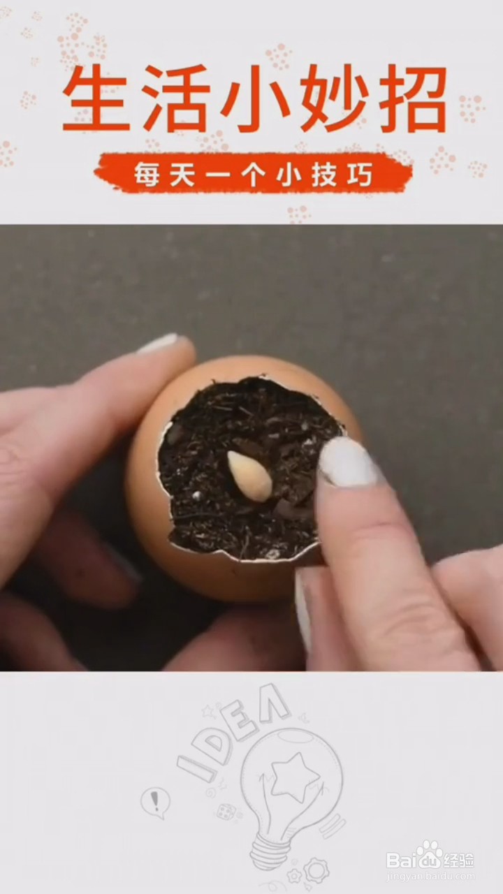 家庭种植小技巧