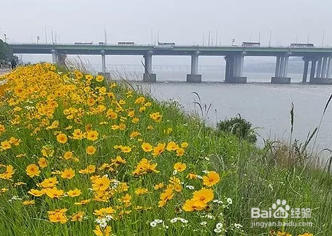 首尔烟花庆典攻略