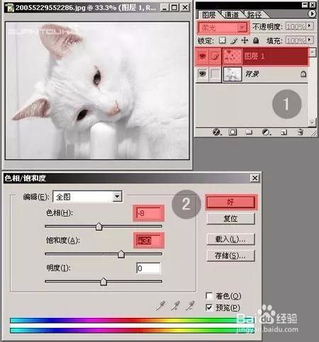 Photoshop调整偏色猫咪照片