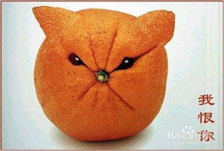 老年痴呆的家庭护理