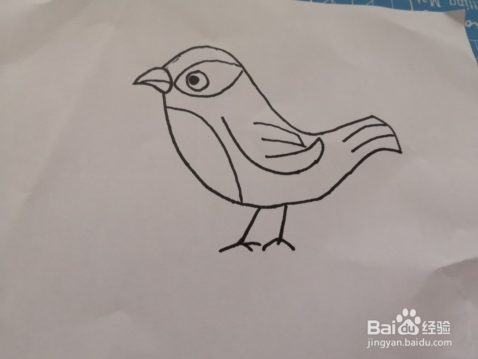 可爱的黄鹂鸟画法