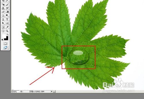 怎样用PS制作水滴
