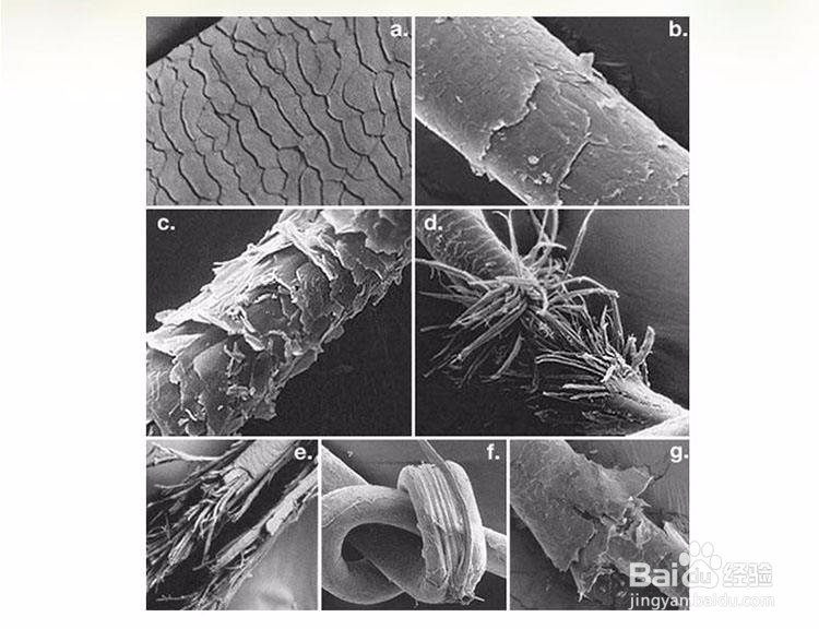 怎样区分含硅油/无硅油洗发水?