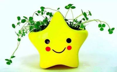 :20秒快速了解女性月经不调的调理方法