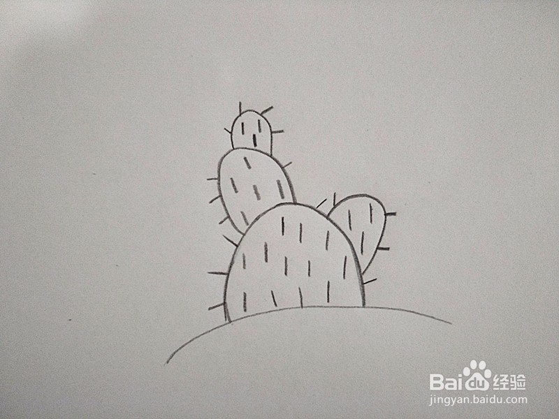 仙人掌简笔画的画法