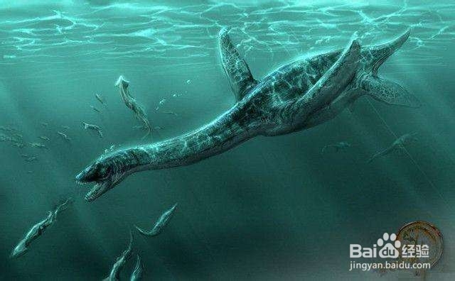 侏罗纪最强的海洋生物是哪些？强在哪？
