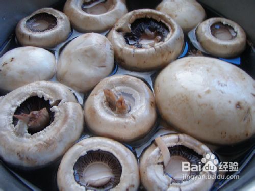 肉炒蘑菇怎么做