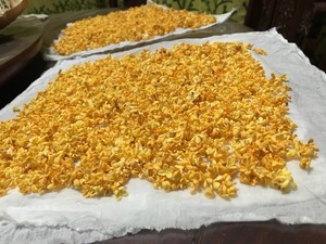 用烤箱怎么烘干桂花