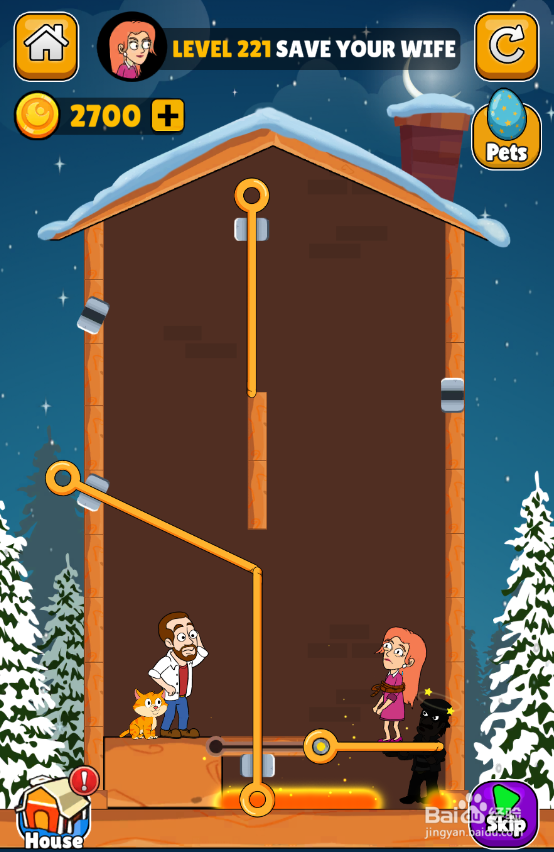 Home Pin的Level 221怎样通关