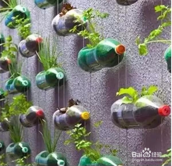 塑料瓶千万别再卖掉啦！你丢的可都是宝贝诶~~