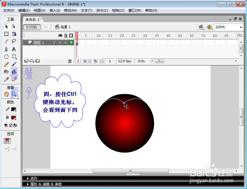 在Flash中画苹果