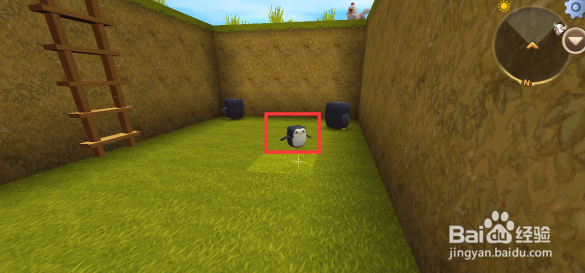 迷你世界企鹅怎么饲养