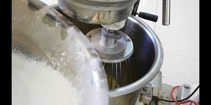 鸡蛋糕（无水版）