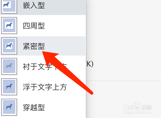 Mac版WPS文字文稿如何设置图片紧密围绕文字?