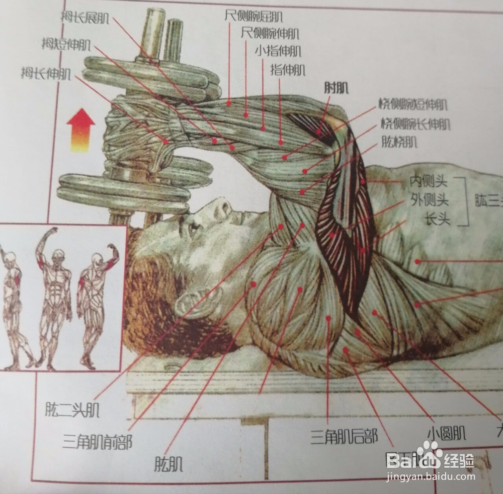 如何锻炼腕关节