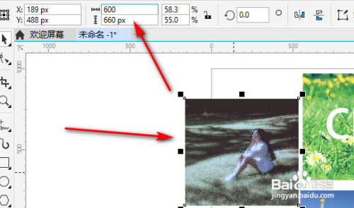 CorelDRAW设置多张图片同一尺寸怎么做
