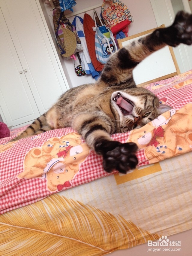 生活中的拍照技巧