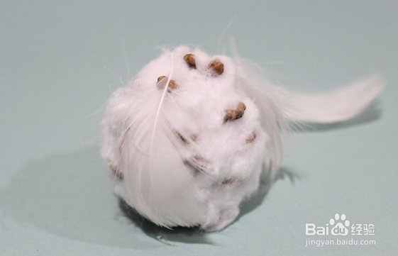 自制松果雪猫头鹰