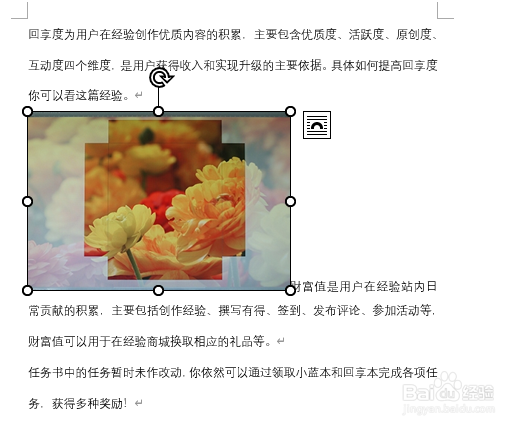 word文档中如何插入图片？