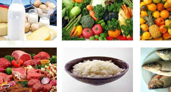 食物中的营养物质是什么