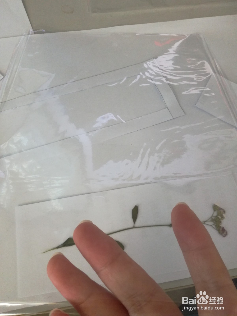 植物书签的制作