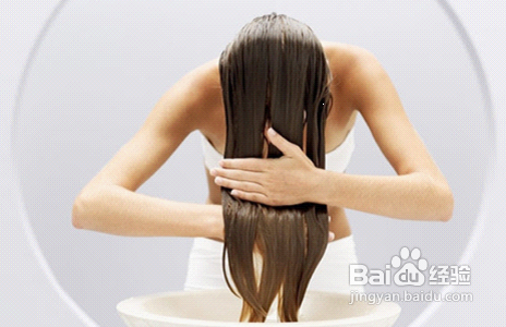 科学去头屑，告别发如雪