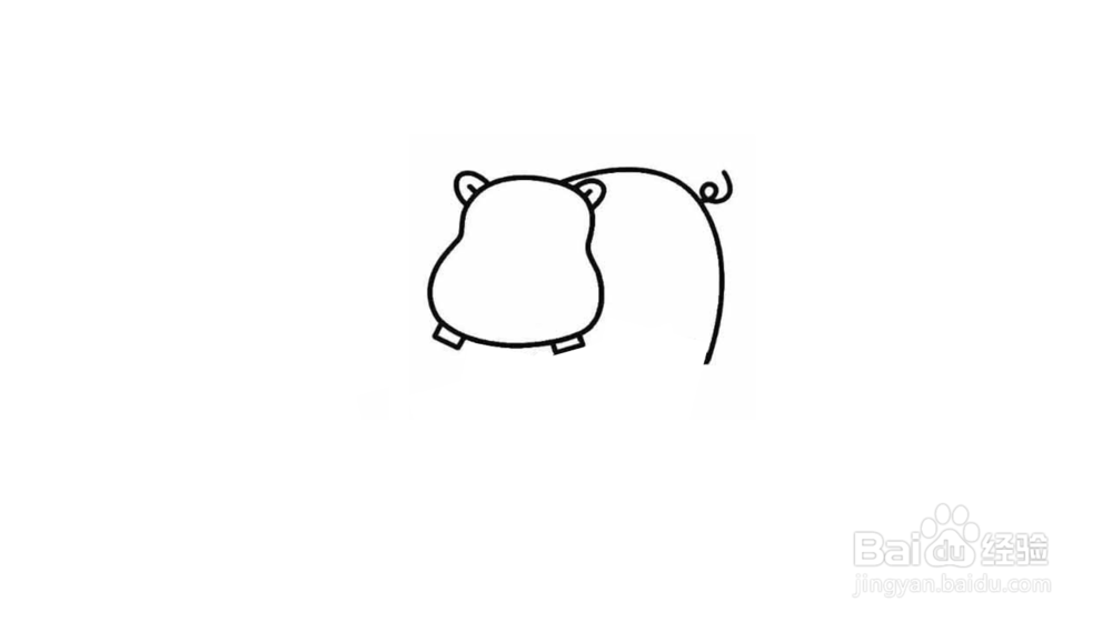 河马简笔画教程