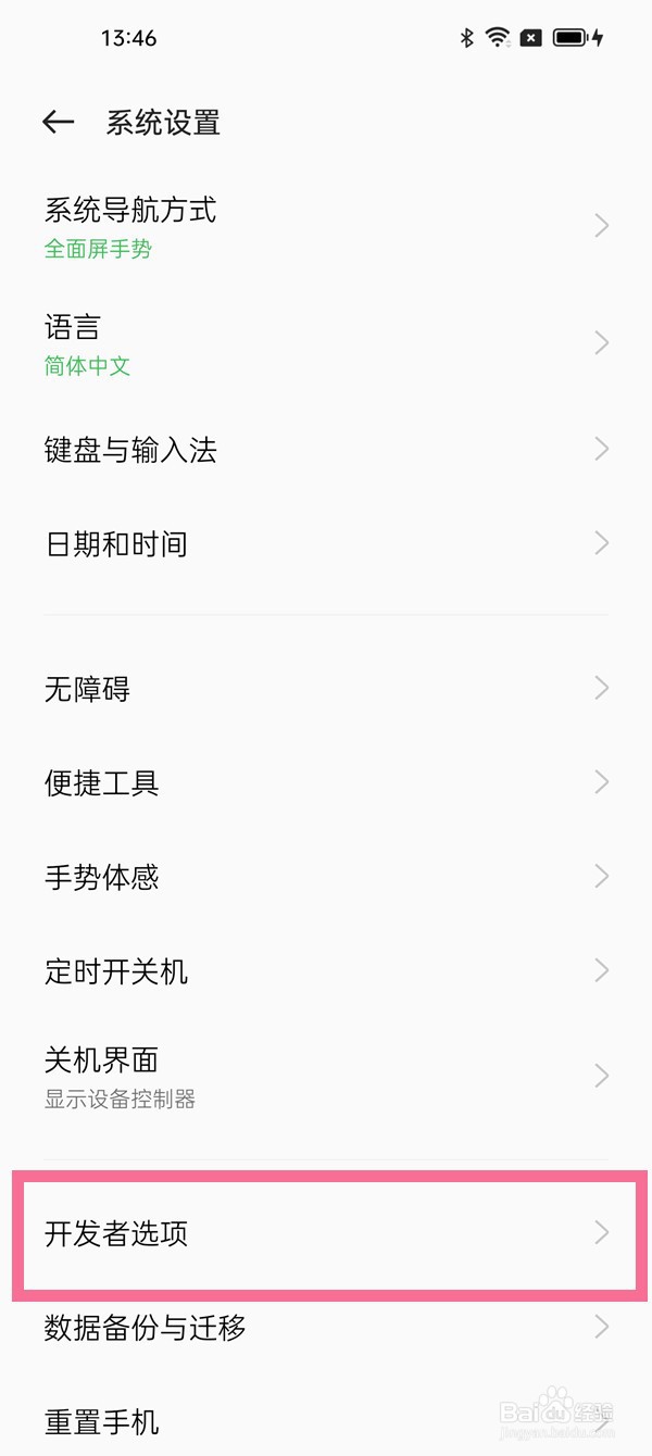 真我手机开发者选项在哪