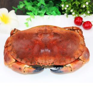 野生熟冻黄道蟹怎么吃