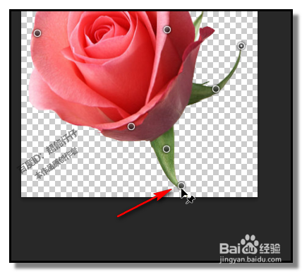 PS中，操控变形怎样用？