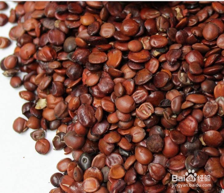 睡觉前吃什么有助于睡眠