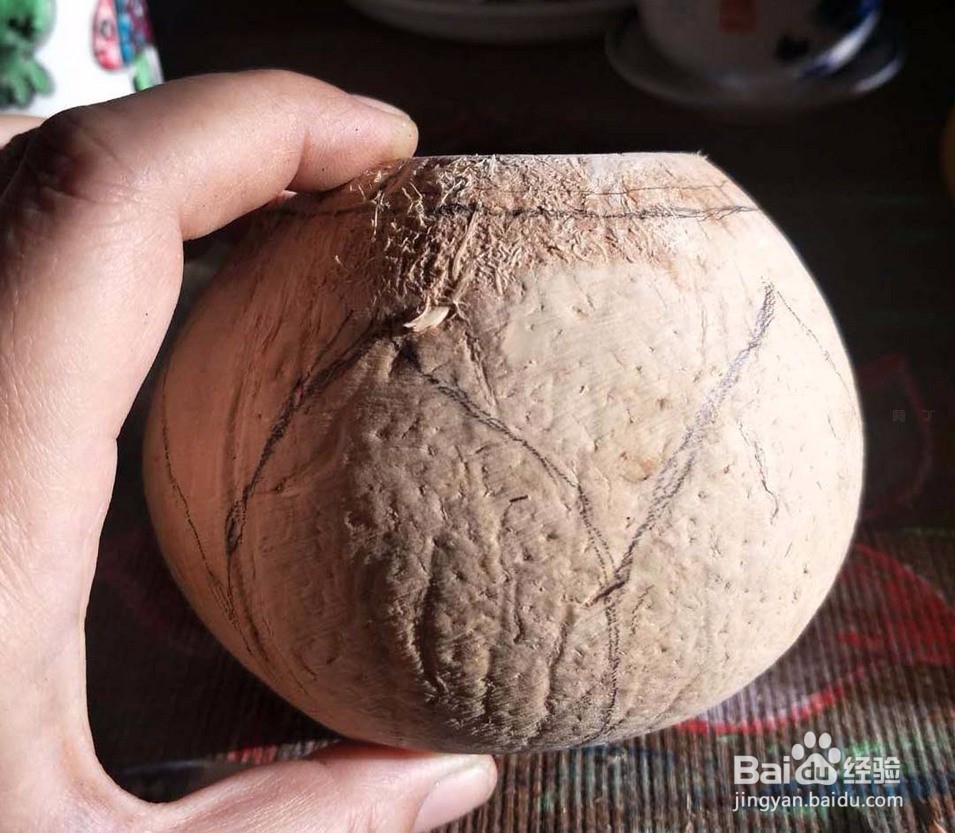 手绘椰壳小盆栽,多肉花盆的做法步骤