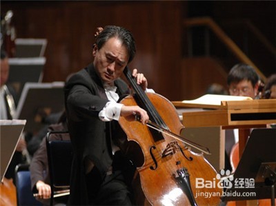 怎么挑选大提琴