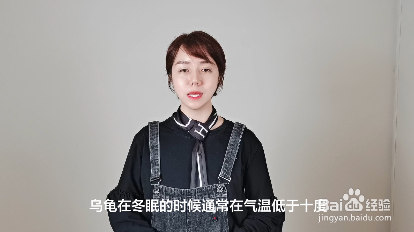 乌龟的假死状态