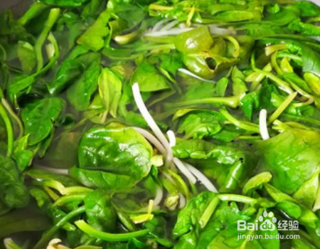 粉丝拌菠菜的攻略