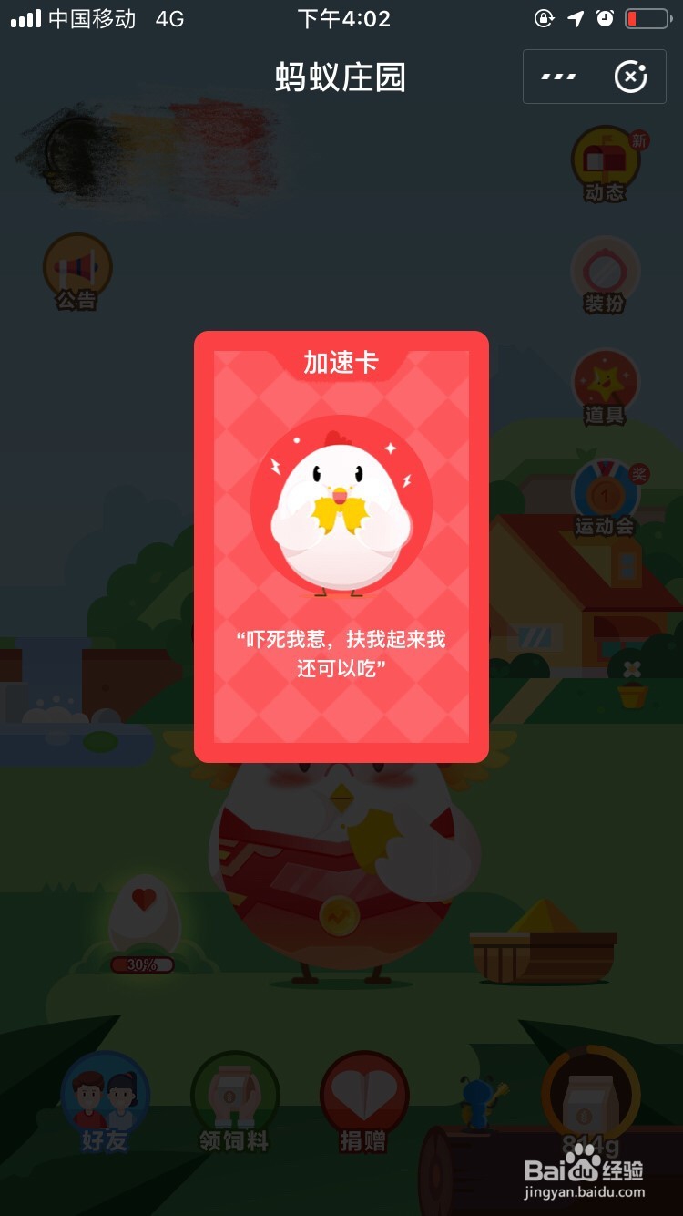 蚂蚁庄园中如何养小鸡