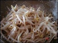 自制的凉拌豆芽
