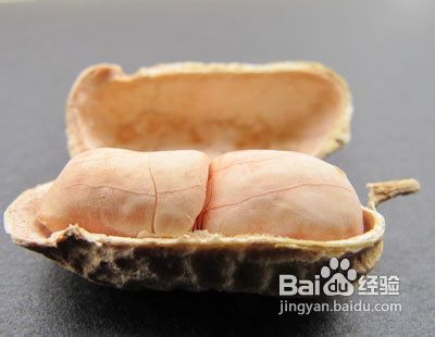 日常补气血的食物都有哪些