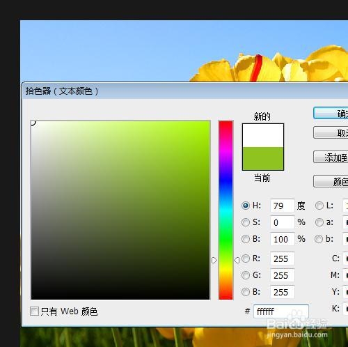 [PS初级零基础]如何用PHOTOSHOP给图片添加文字
