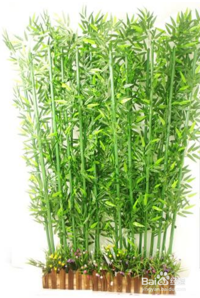 米竹种子如何种植