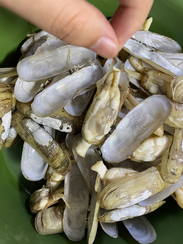 蒜蓉粉丝蒸蛏子