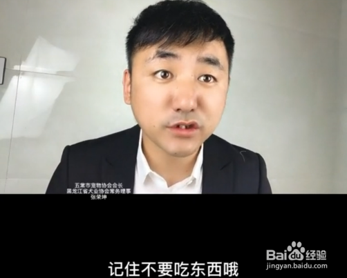 狗狗晕车怎么办
