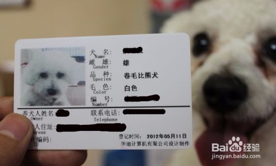 狗狗被车撞死了如何理赔