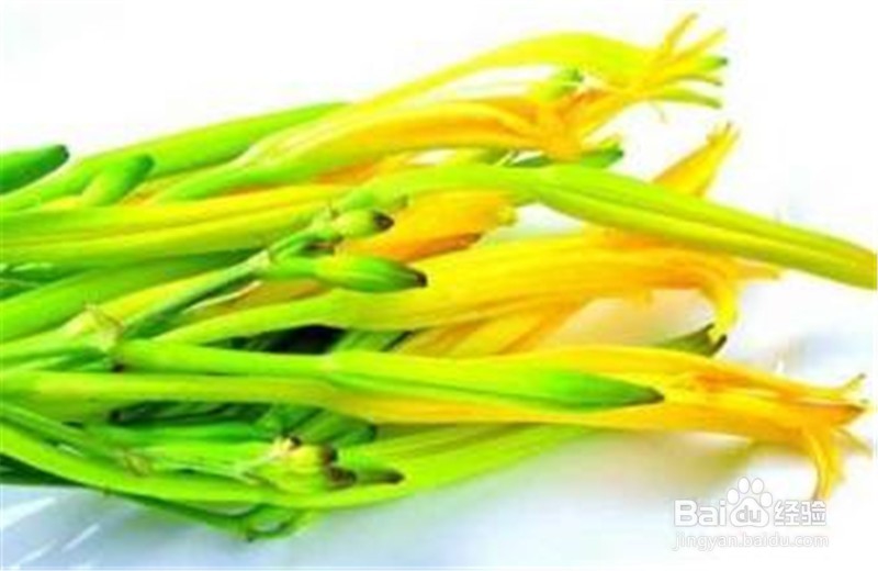 鲜黄花菜有毒不能吃吗