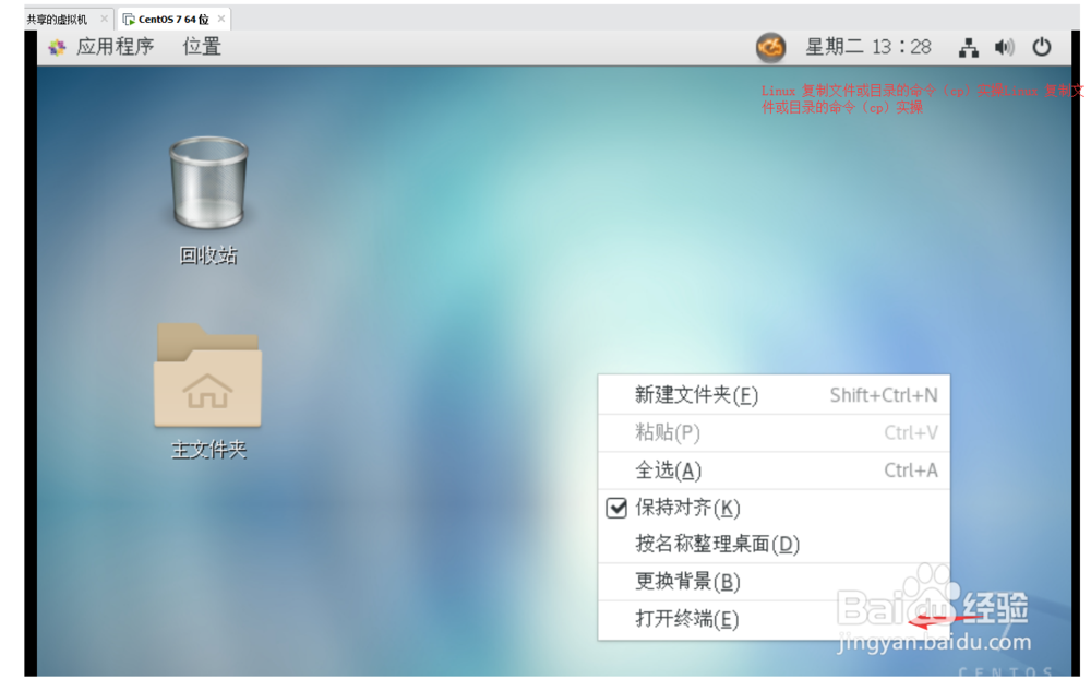 Linux 复制文件或目录的命令(cp)实操