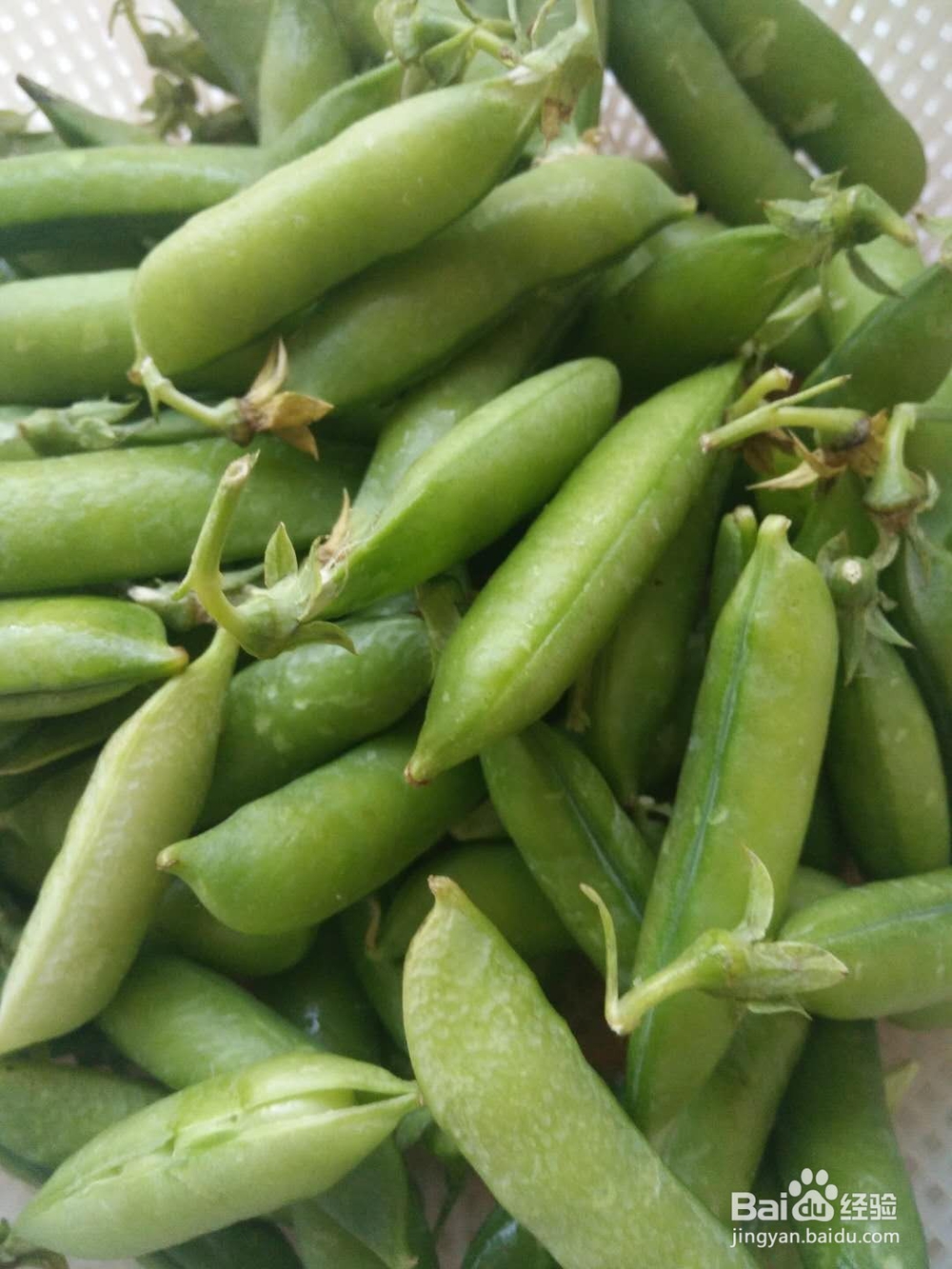 蒸豌豆荚——农家小吃。