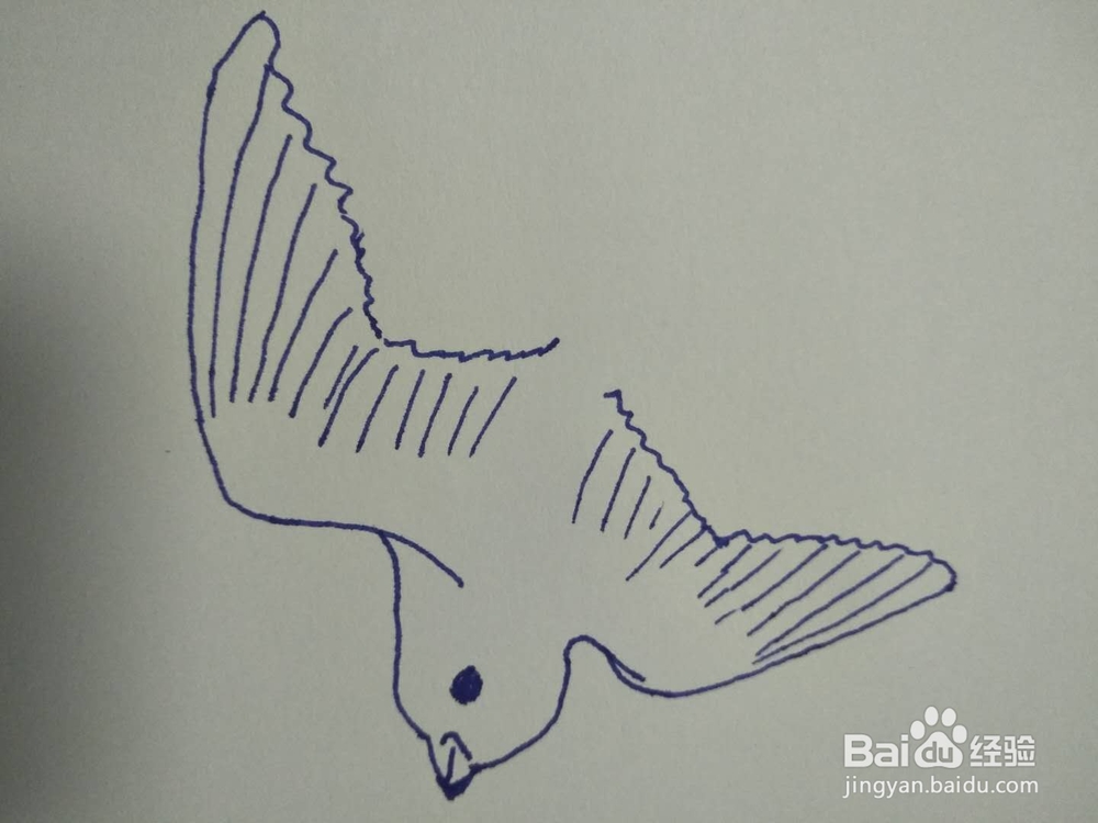 简笔画之燕子
