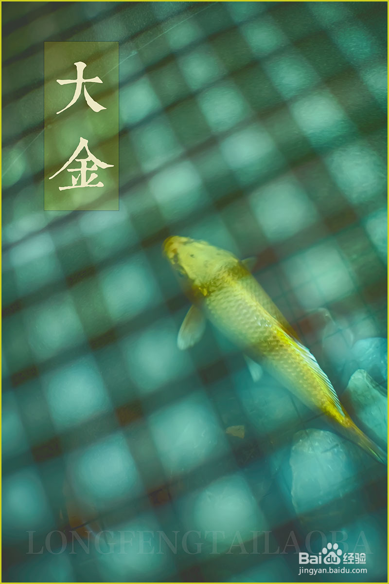 从孩子说打死小鱼谈品德引导